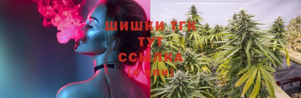 дмт Саяногорск